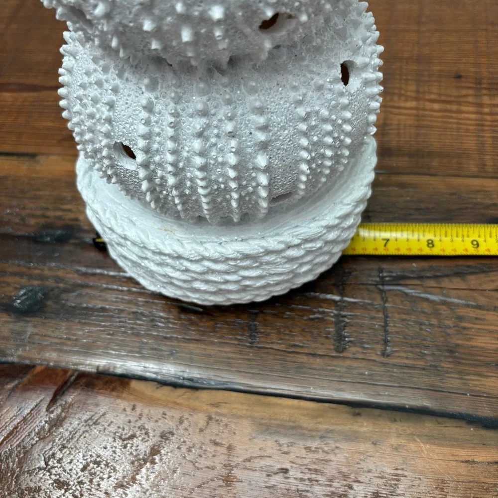 Coastal Shell Christmas Tree Gold Star Lights Up